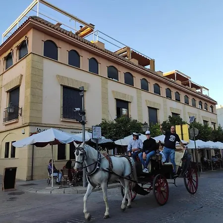 Апартаменты La Terraza Del Puente Y Mezqt-catedral